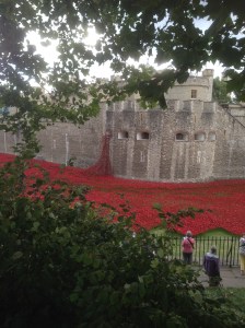 Tower of London, WW1 remembrance day installation