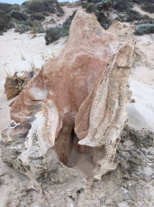 Eroded rocks Halls Head beach