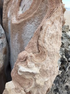 Eroded rock Halls Head