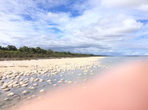 Lake Clifton
