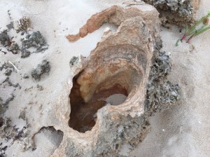 Eroded rocks at Halls Head Beach
