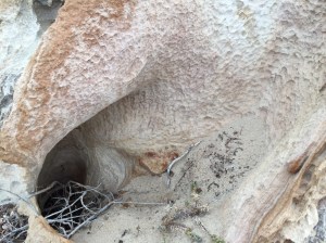 Eroded rocks at Halls Head Beach