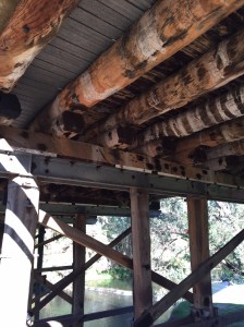 Jarrah supports under bridge in Harvey