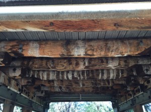 Jarrah supports under bridge in Harvey.