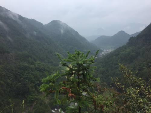 further-view-from-waterfall