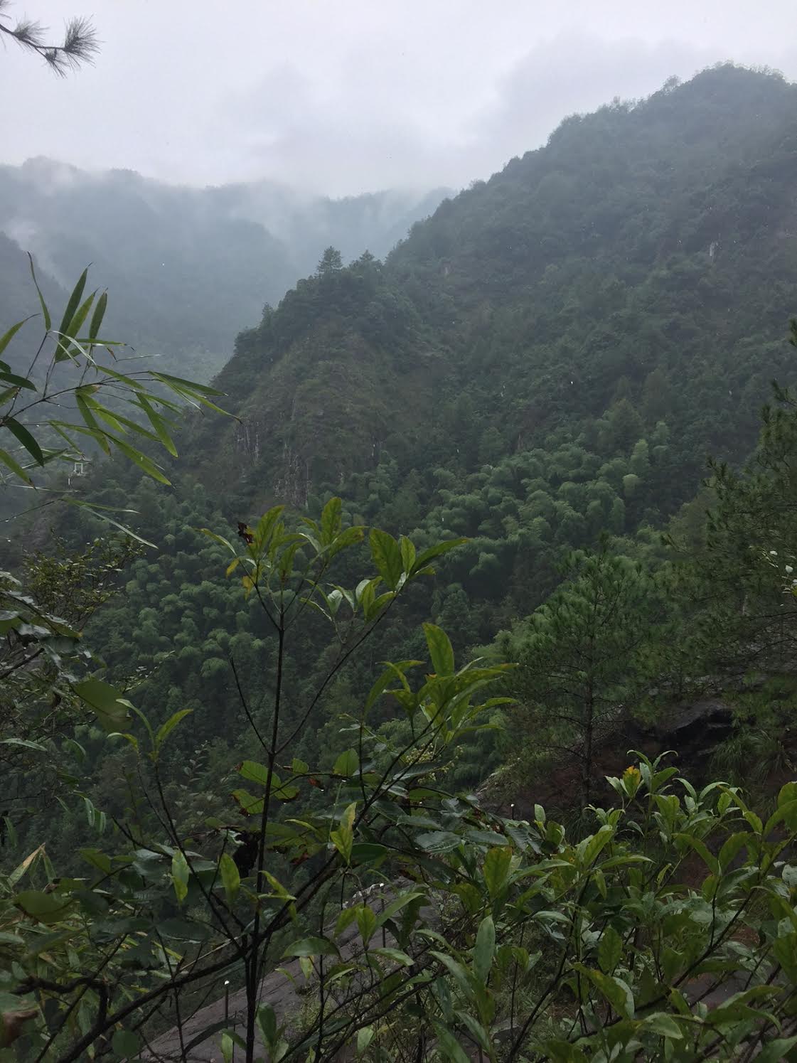 view-from-waterfall-walk